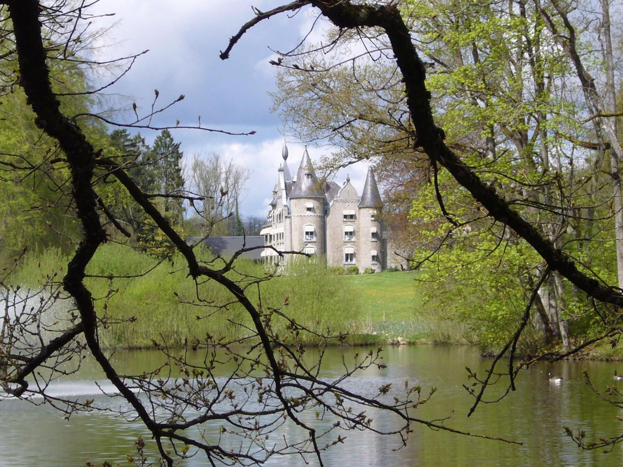 Chateau D'Hassonville Aye Kültér fotó