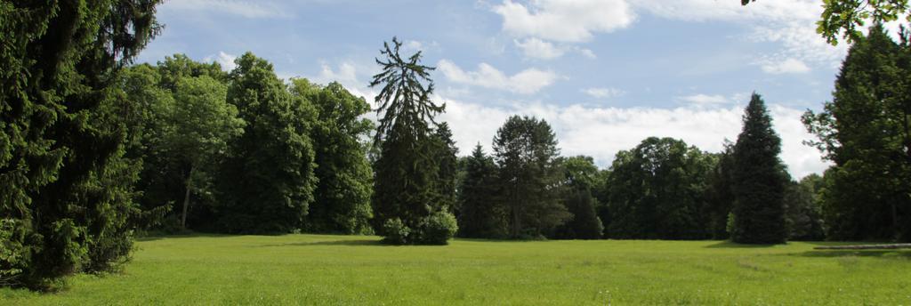 Chateau D'Hassonville Aye Kültér fotó